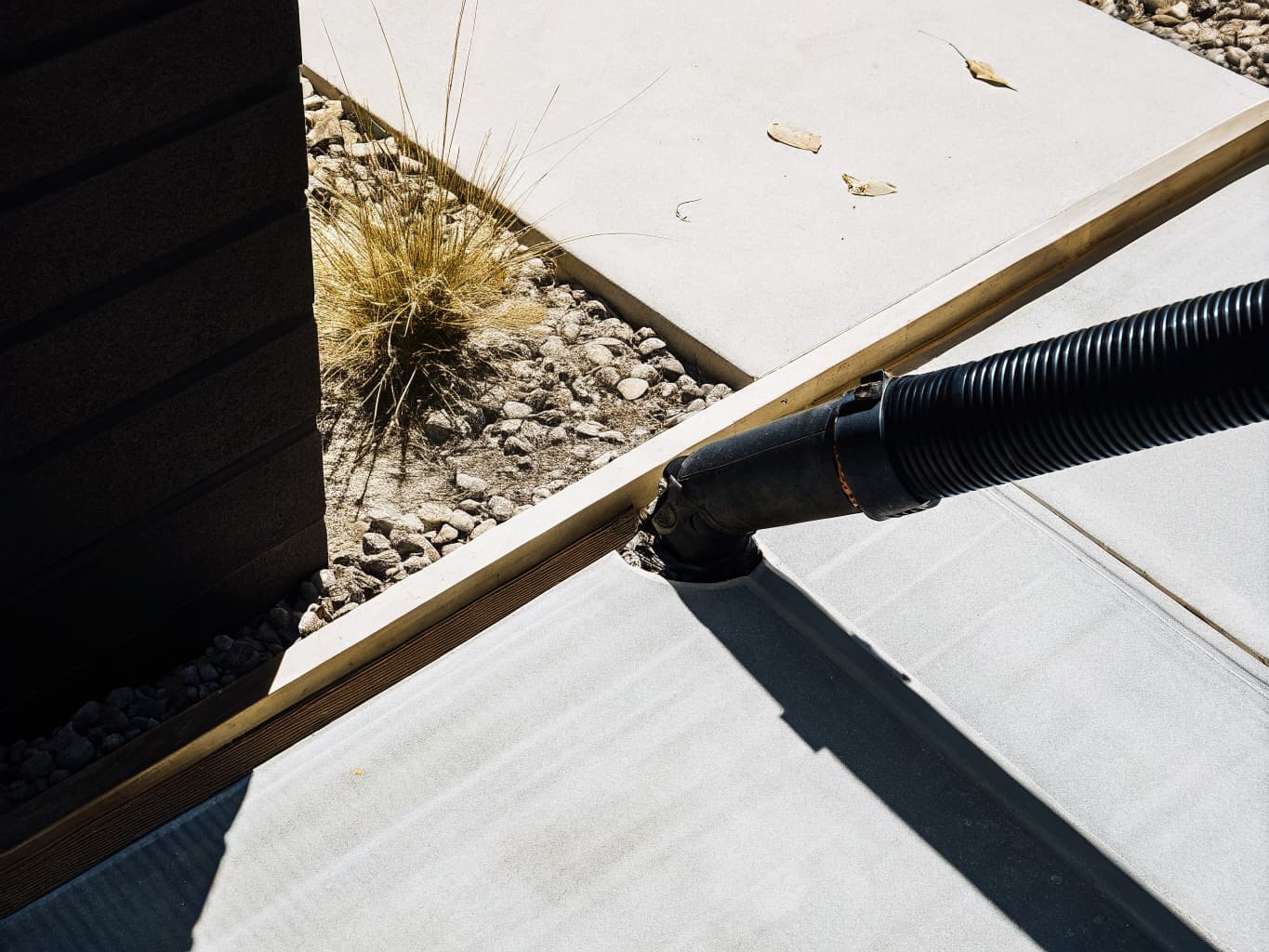 Deep Yard Cleaning